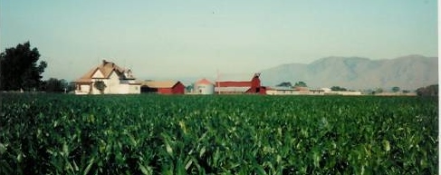 Grandpa's Farm Grandpa's farm